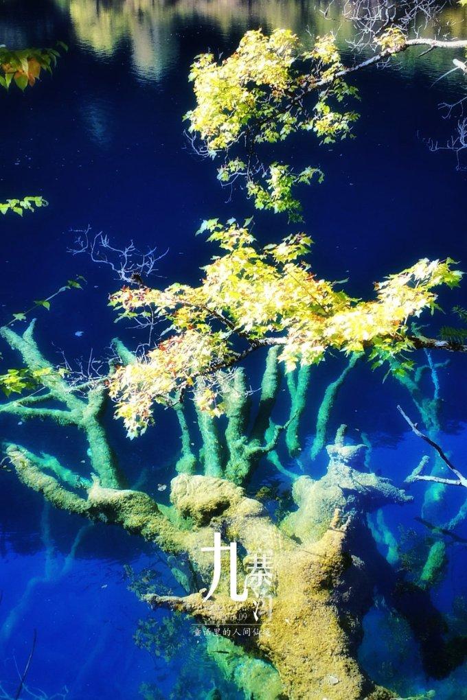 高考恋爱100天