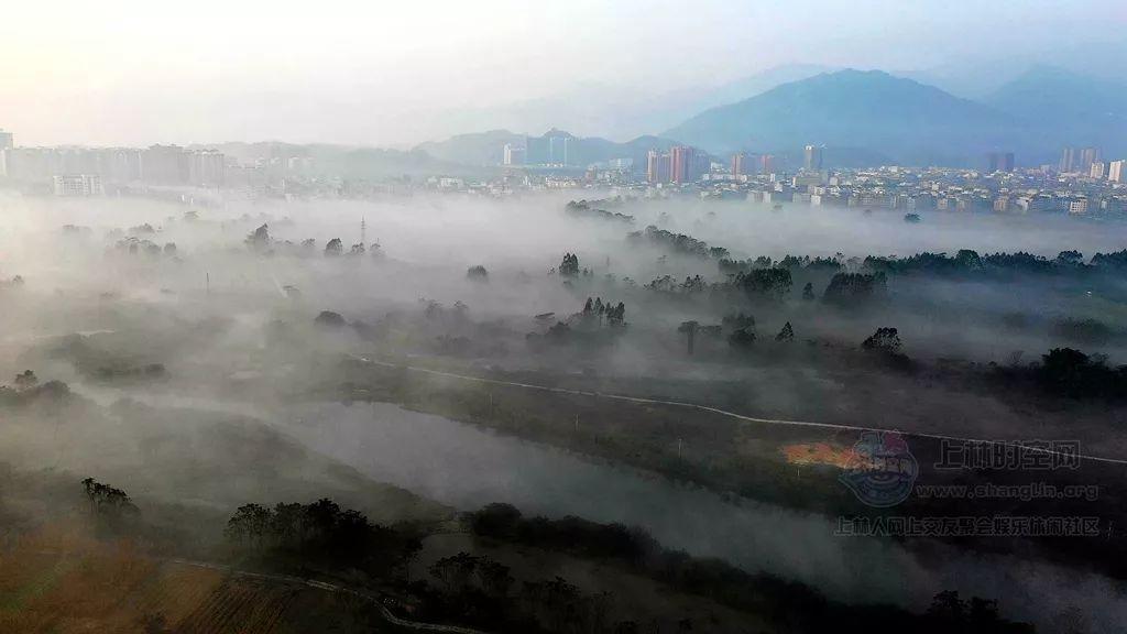 春雨直播app