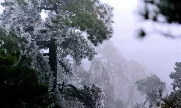 天天爱消除