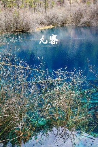 诺曼底44