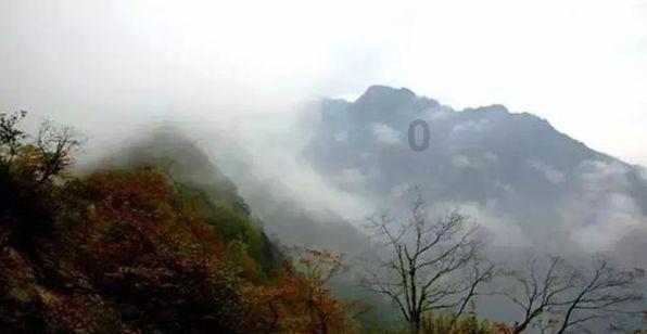 御龙在天手游