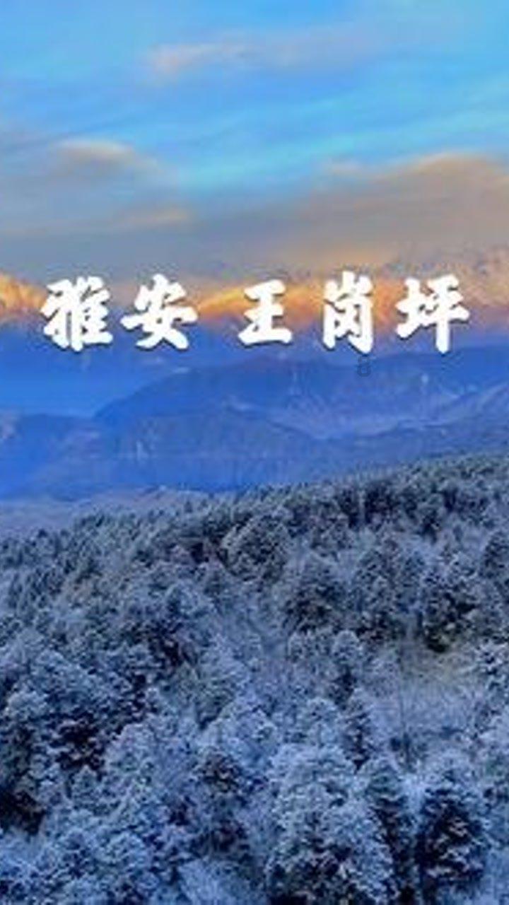 社保缴费满15年就可以不缴了吗？游戏画面