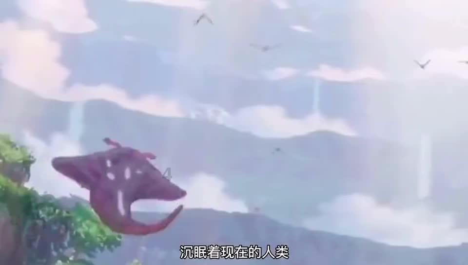 【行摄云南】弥勒：艳丽鲜花俏枝头