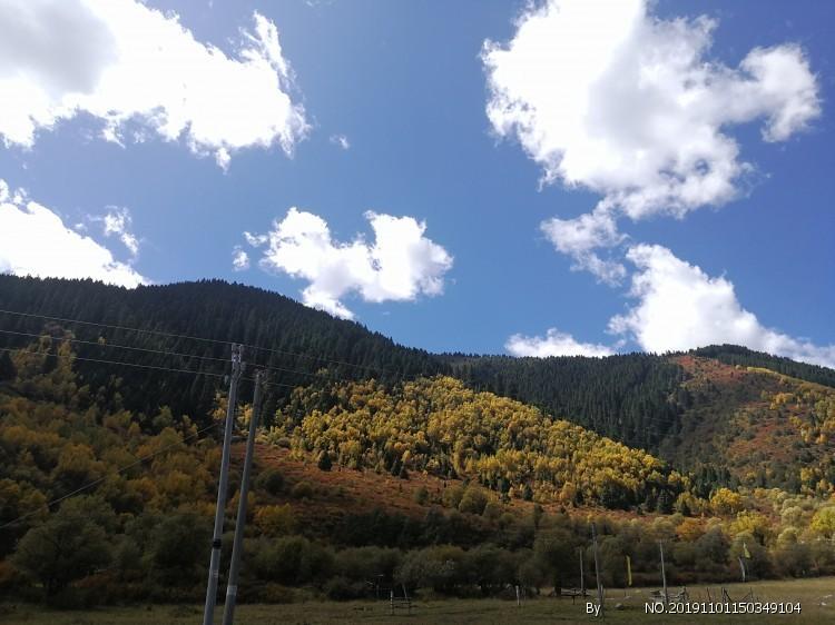 虫虫助手下载