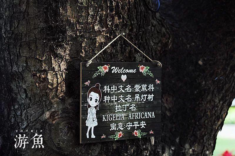 寻找遗失的摩托车