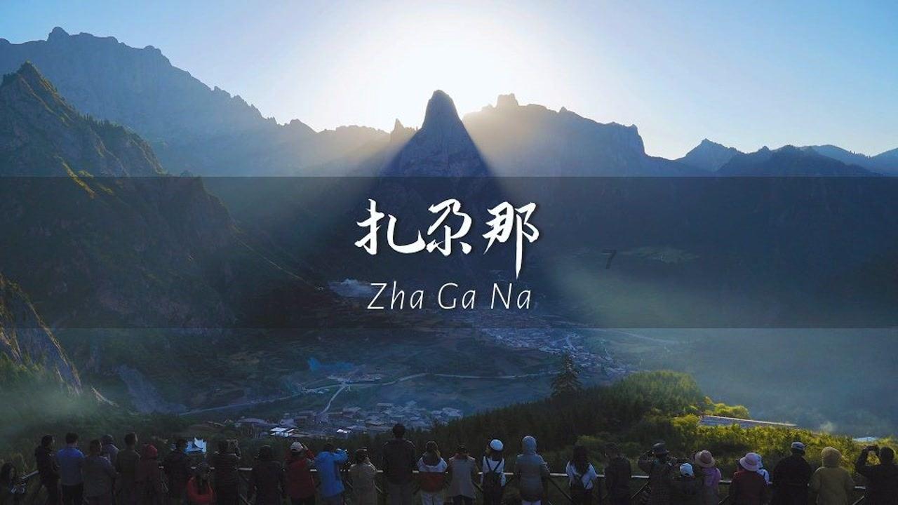 逃离森林边缘