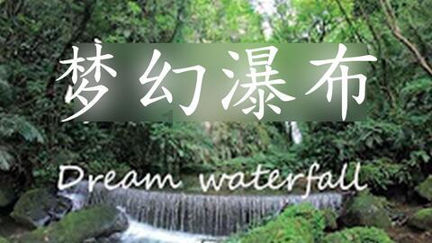 动物帮帮忙保卫家园