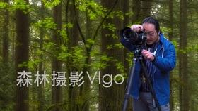 僵尸辨色球