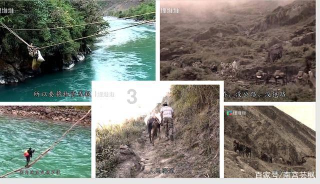 以龙为“名”,上海自然博物馆引入艺术新作