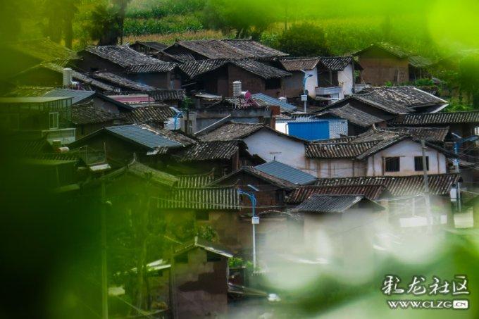 火拼萌萌消