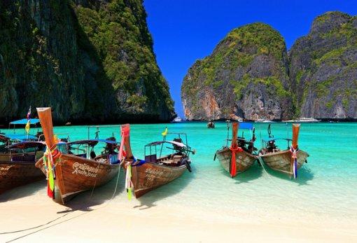 小红帽的冒险之旅