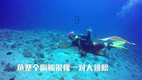 共赏沪上“繁花”,品读海派文化丨爱申活 暖心春