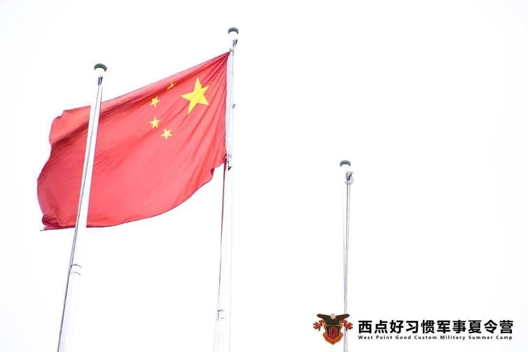 杨丽代表：三尺讲台守初心 呵护幼苗吐春芽