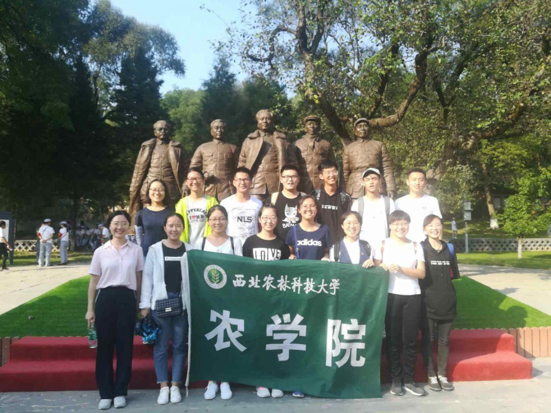 进击的城堡