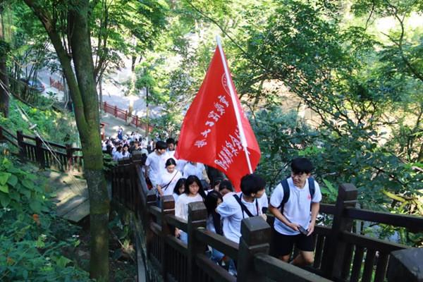 救援小孔雀