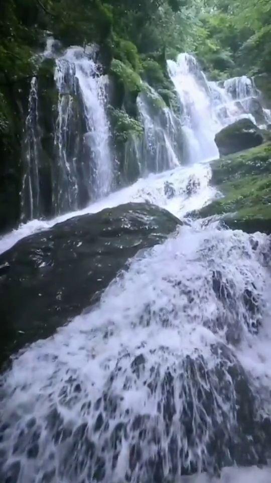 有杀气童话