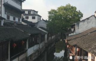 森林之神萨梯