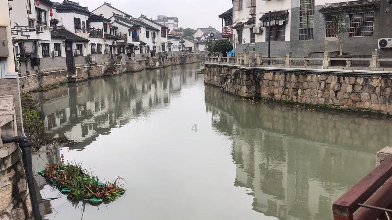 杨满红“寻亲”记(二)