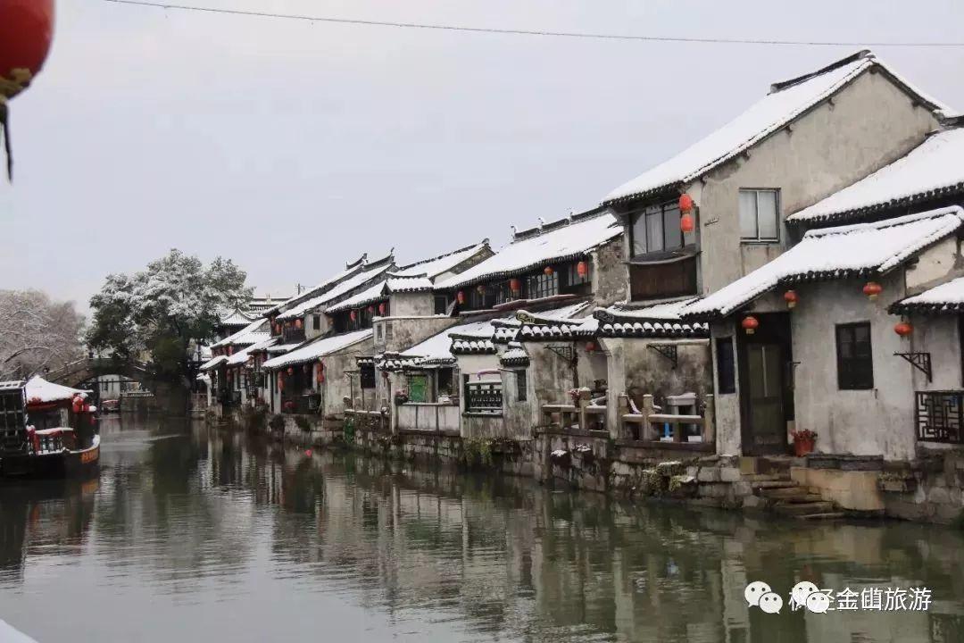 奔跑的兔子