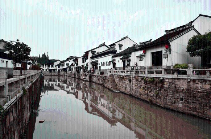 宠物世界聚会