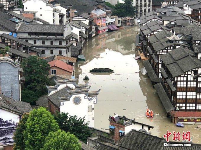 逃离棕榈树森林