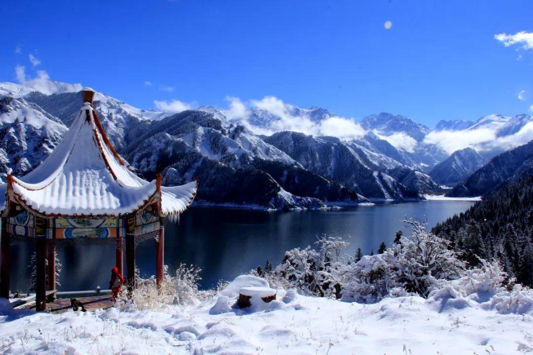 小猫钓鱼游戏龙王版有船