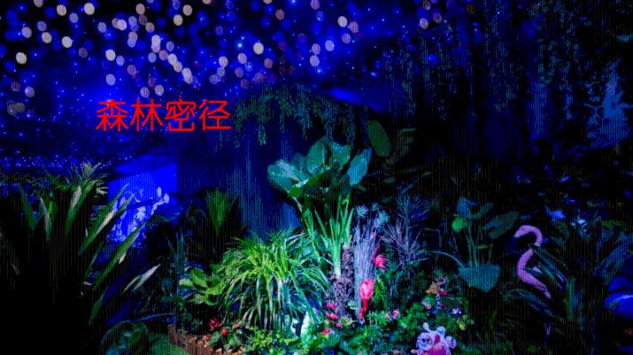 电煮锅怎么蒸红薯