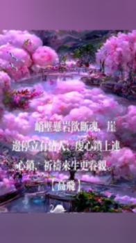 新黄金矿工